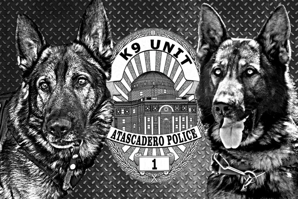 k9 badge